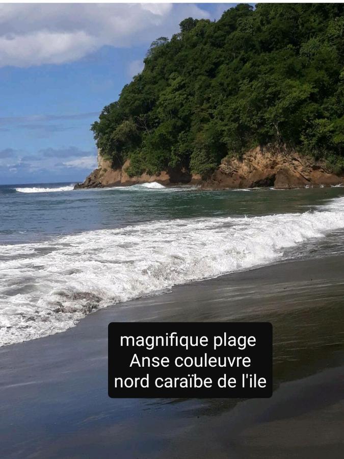 Le Morne-VertA La Montagne公寓 外观 照片